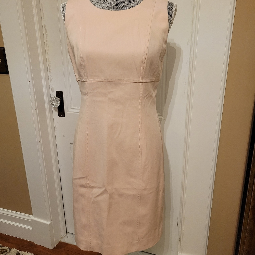 Worth, 6 Pink Sleeveless Dress